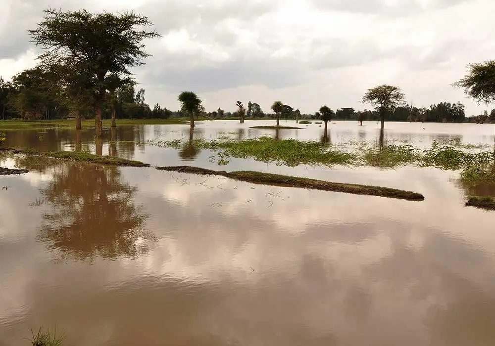 flood insurance in Florida