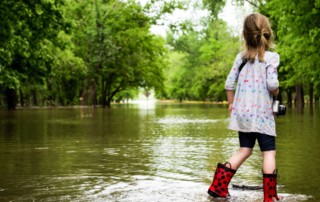 flood insurance venice fl